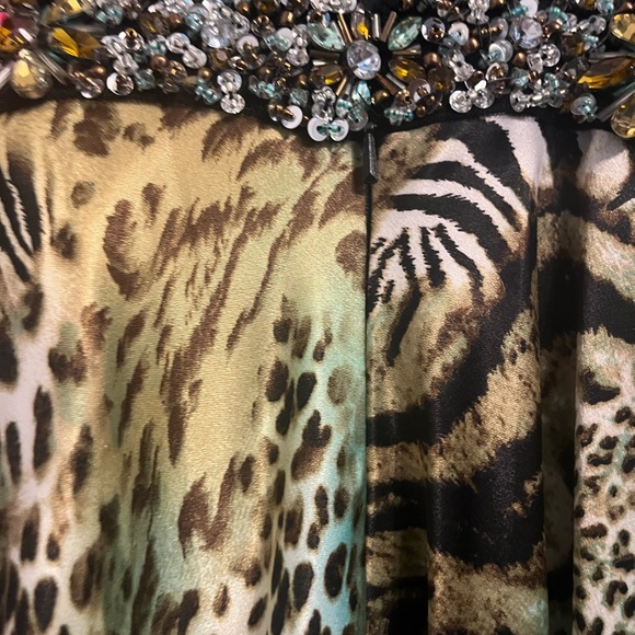 Cheetah/Leopard/Zebra dress with Jewels - Picture 4 of 7